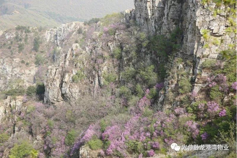 Agin games·(中国)有限公司官网