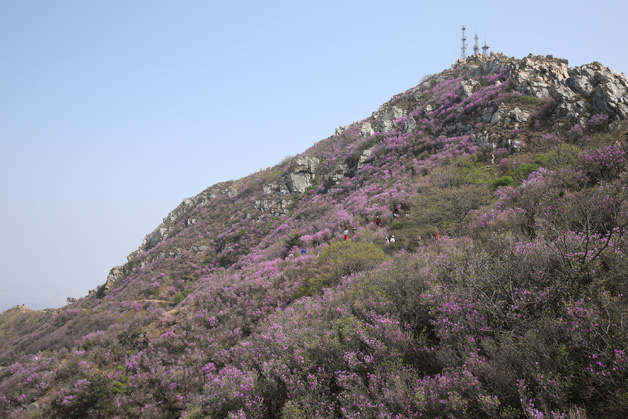 Agin games·(中国)有限公司官网