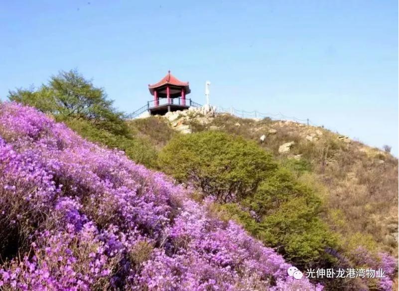 Agin games·(中国)有限公司官网