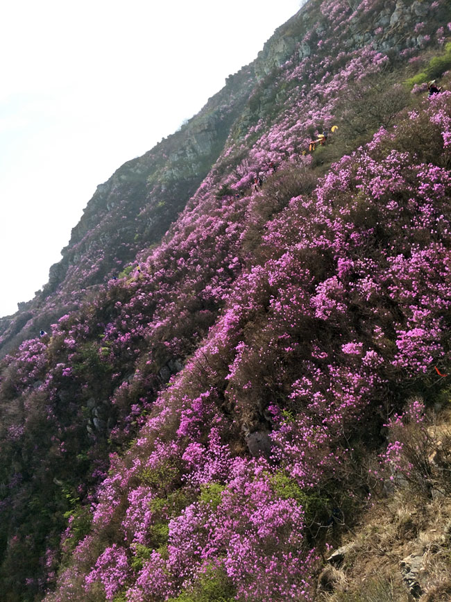 Agin games·(中国)有限公司官网